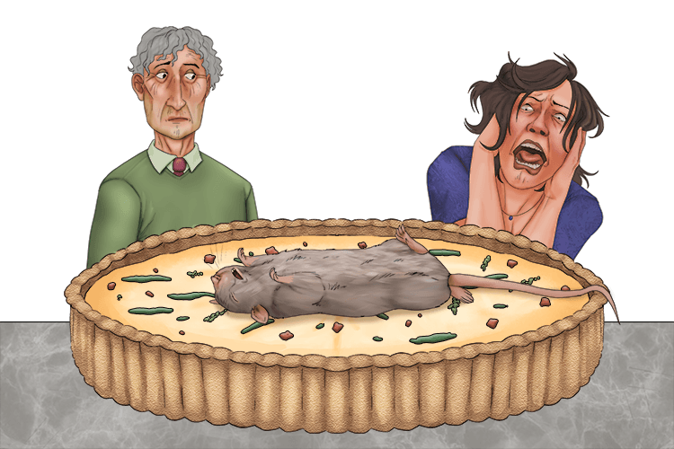 This new quiche (niche) I made was unique, with an organism positioned on top.